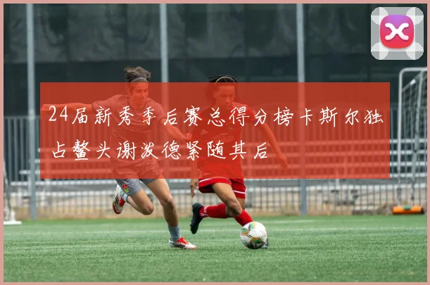 24届新秀季后赛总得分榜卡斯尔独占鳌头谢泼德紧随其后