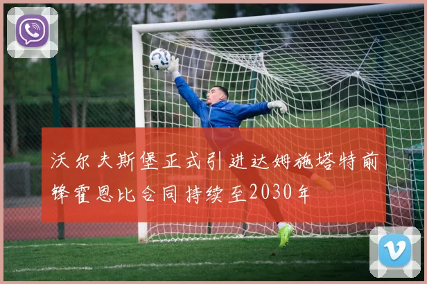 沃尔夫斯堡正式引进达姆施塔特前锋霍恩比合同持续至2030年